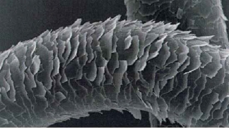 通常のカラーを繰り返した毛髪イメージ