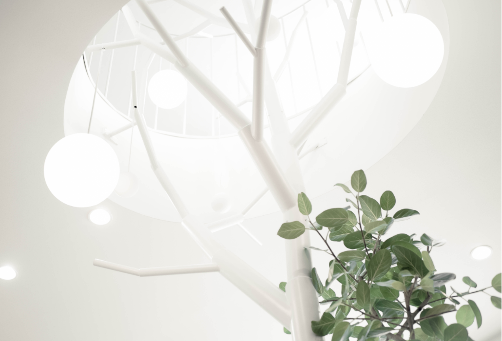 sample image featured